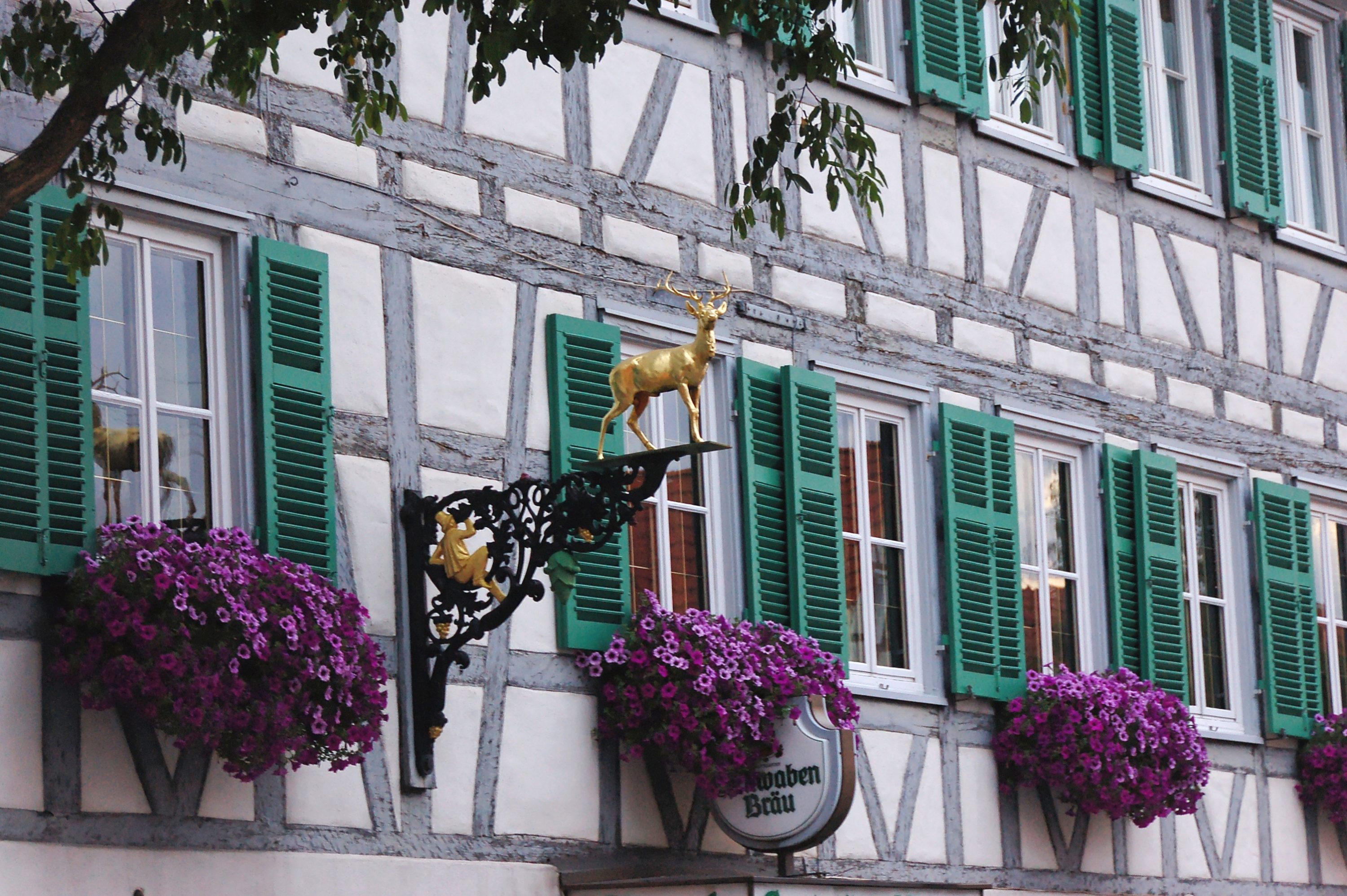 Leinfelden-Echterdingen 7